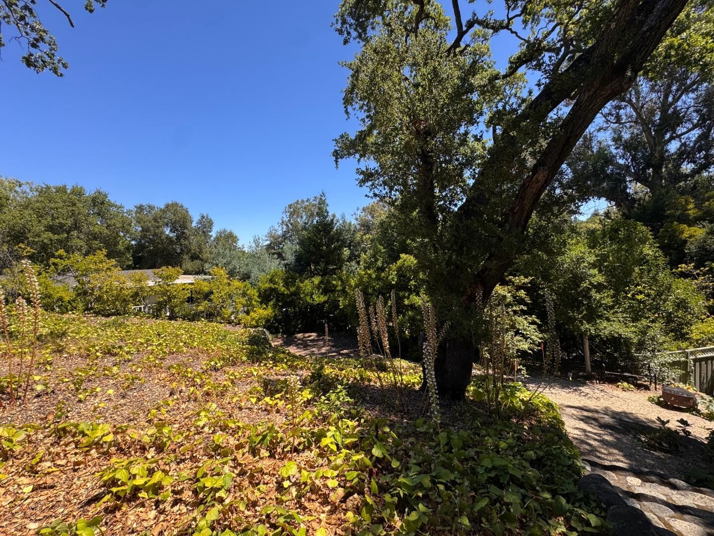 Property Photo: 225 Oak Meadow Drive CA 95032