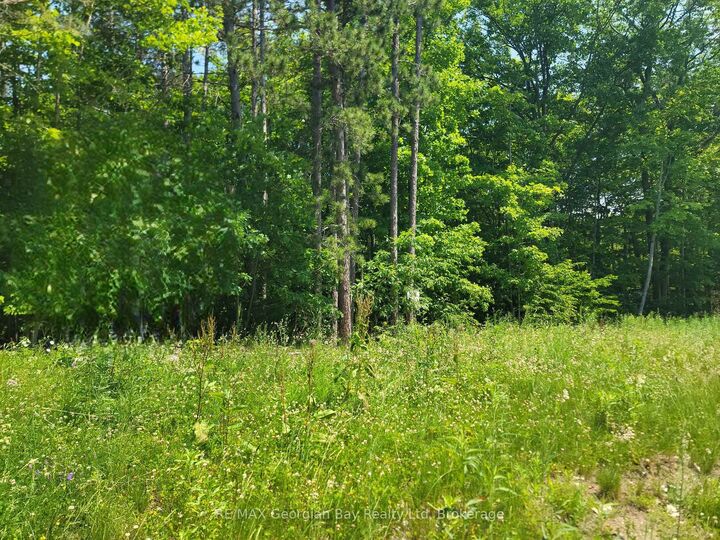 Lot 71 Whispering Pine Circle — photo 1