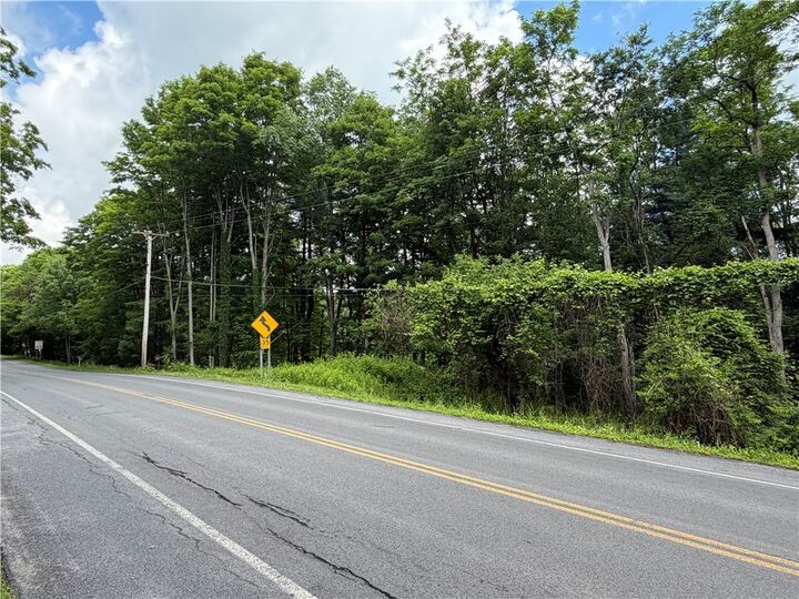 Property Photo: 000 Ellis Hollow Road NY 14850