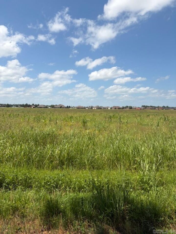 Property Photo: Lot 6 Upper Steel Bend Road AR 72142