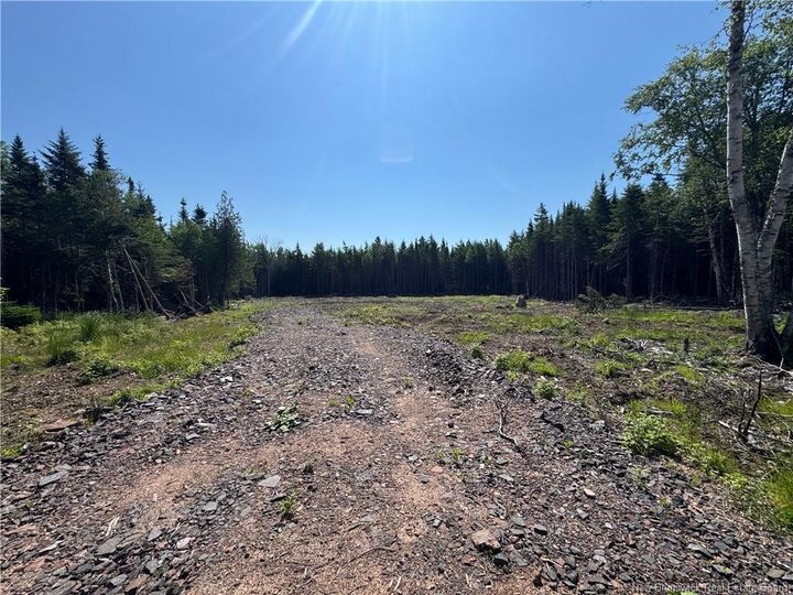 Property Photo:  Lot 6 Cedarwood Drive  NB E5N 6N8 