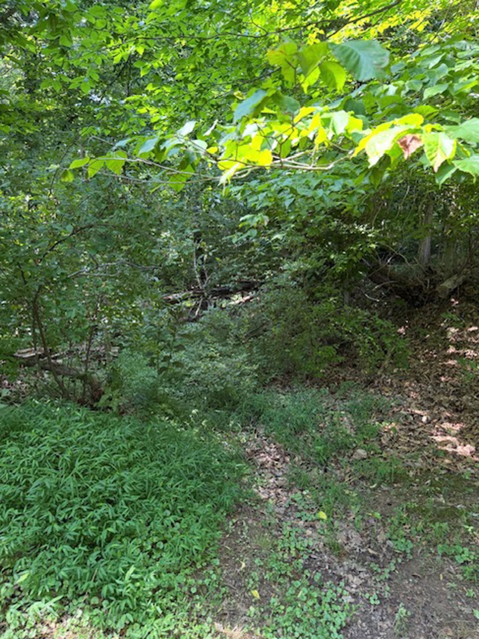 Property Photo: Amey Drive WV 25504