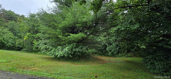 Property Photo: # Calvin Drive NY 12542