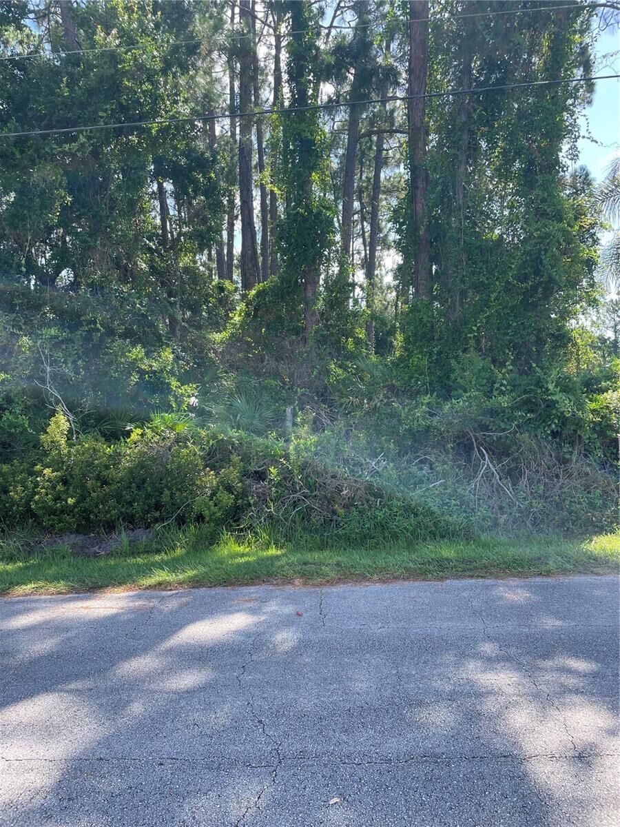 Property Photo:  71 Lake Success Drive  FL 32137 