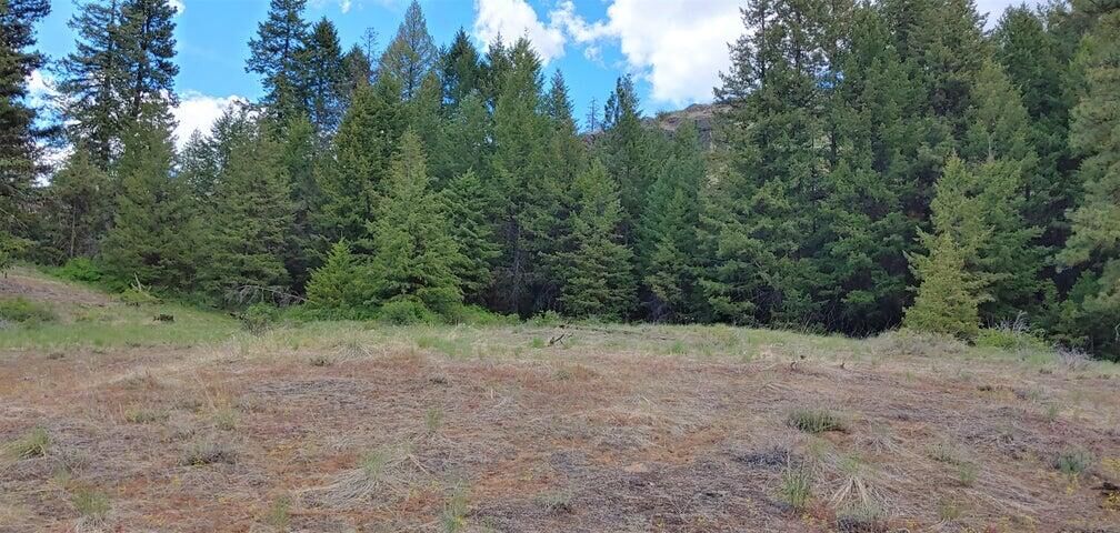 Property Photo: Tbd Stacy Rd WA 99166