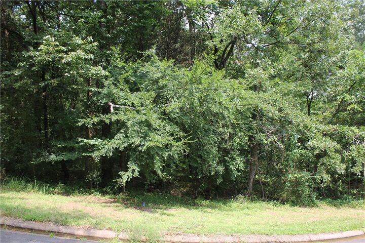 Property Photo: Lots 42 & 43 Craigwood Circle AR 72801