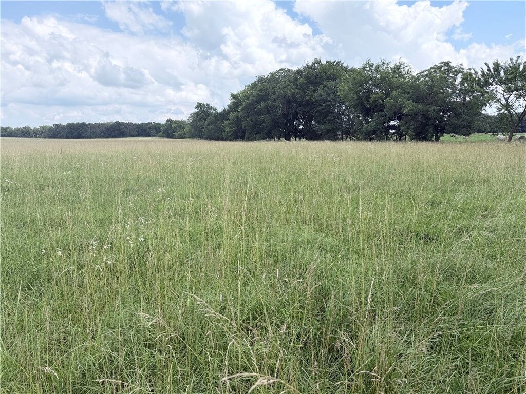 Property Photo: 41.49 Acres N Ar 43 Highway AR 72747