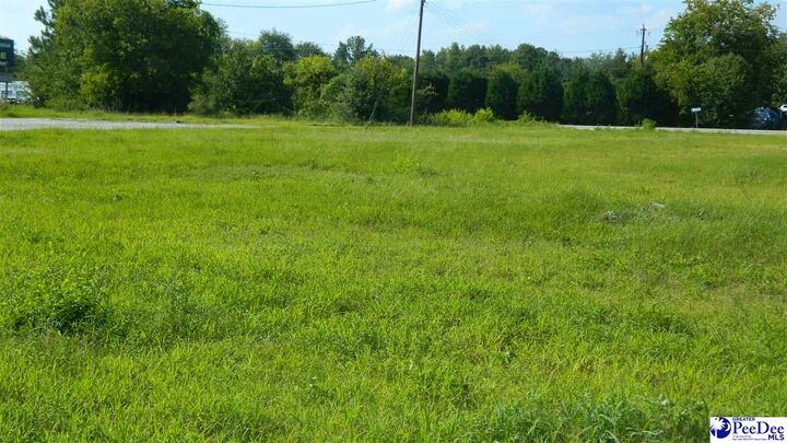 Property Photo:  4603 W Highway 76  SC 29571 