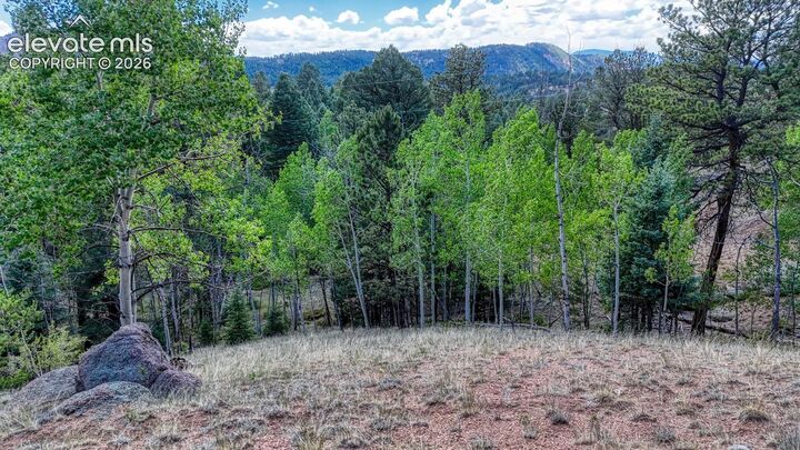 Property Photo: 783 Bennett Drive CO 80813