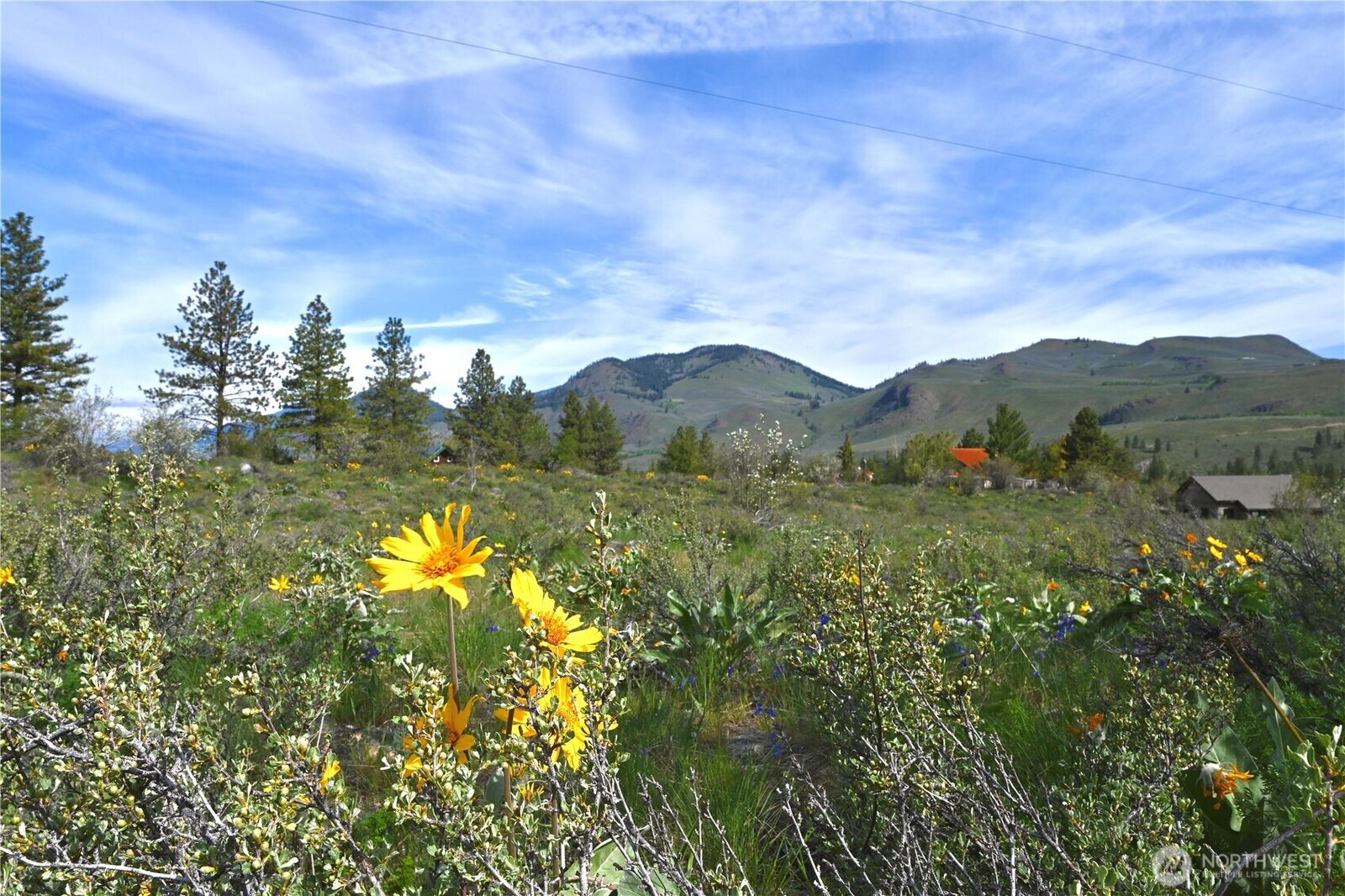 Property Photo:  0  Green Meadows  WA 98862 