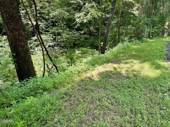 Property Photo:  Lot 706A School House Gap Road  TN 37876 