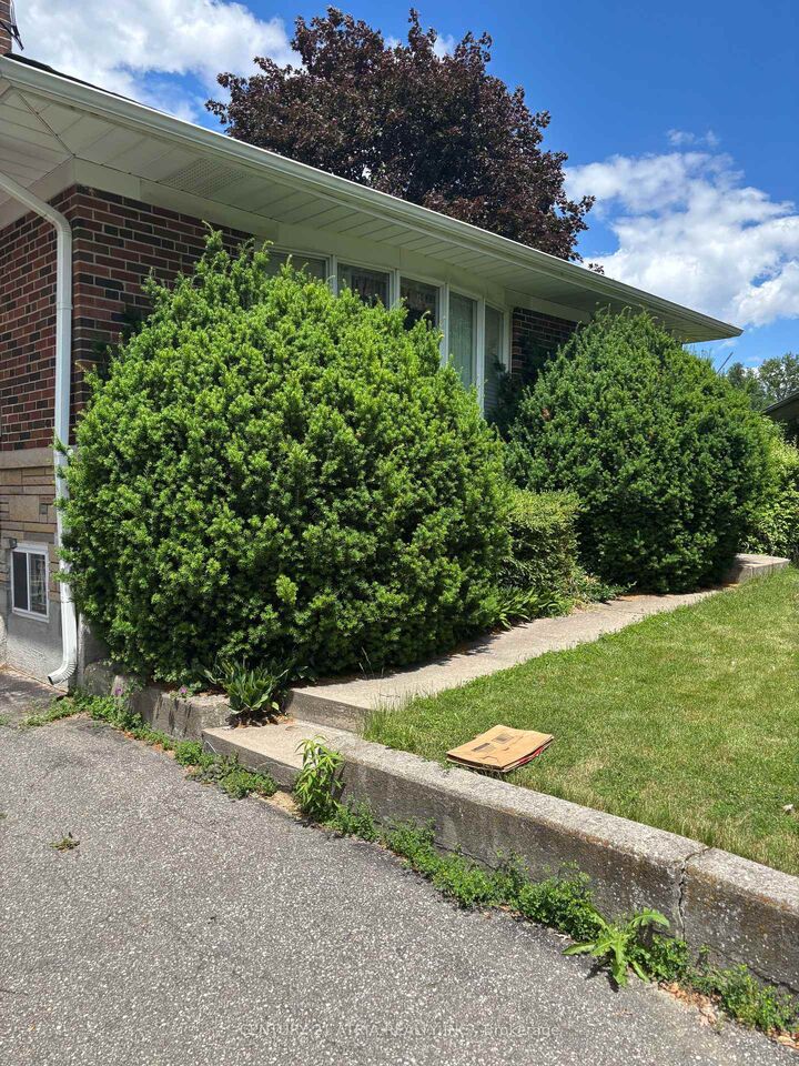 Property Photo: 4 Winesap Place ON M9A 1M4
