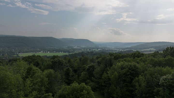 Property Photo: 95 Candor Hill Road NY 13743