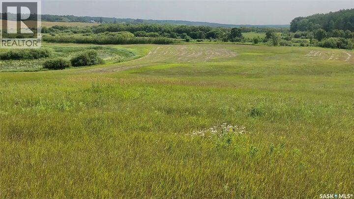 Photo de la propriété:  Rm Of Livingston Rec Land  SK S0A 2Z0 