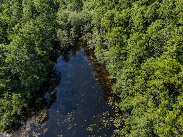 Property Photo:  30 Acres Old Airport Road  FL 32433 