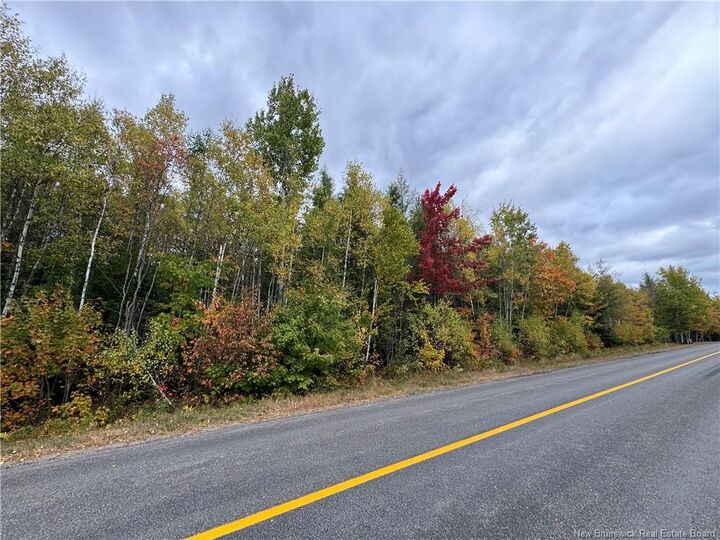 Property Photo:  - Blueberry Lane  NB E4C 1E3 