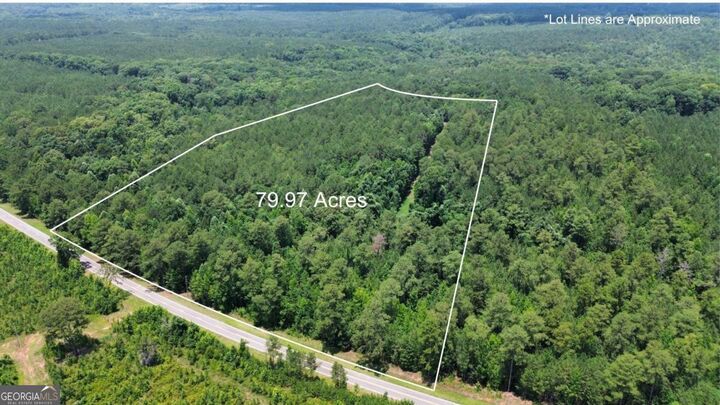 Property Photo:  000 Springfield / Turner Road  GA 30669 