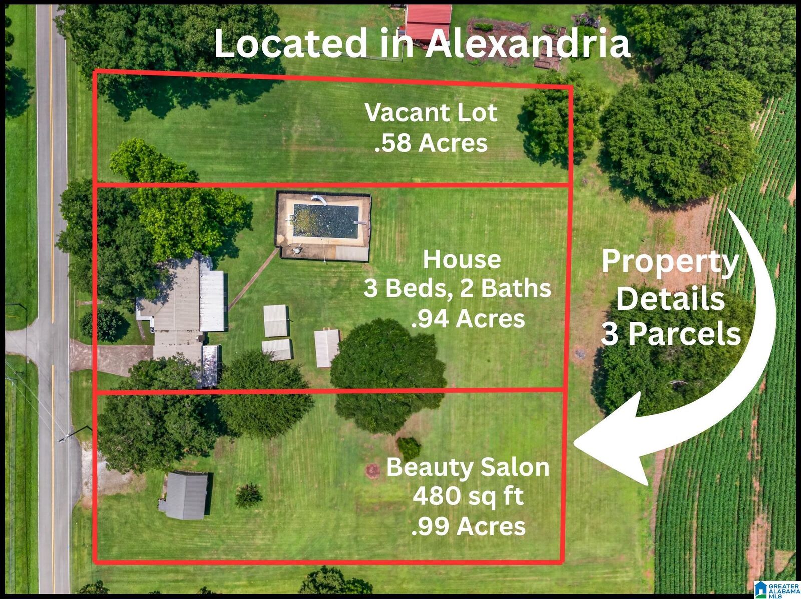 Property Photo: 195 Pattiway Drive AL 36250