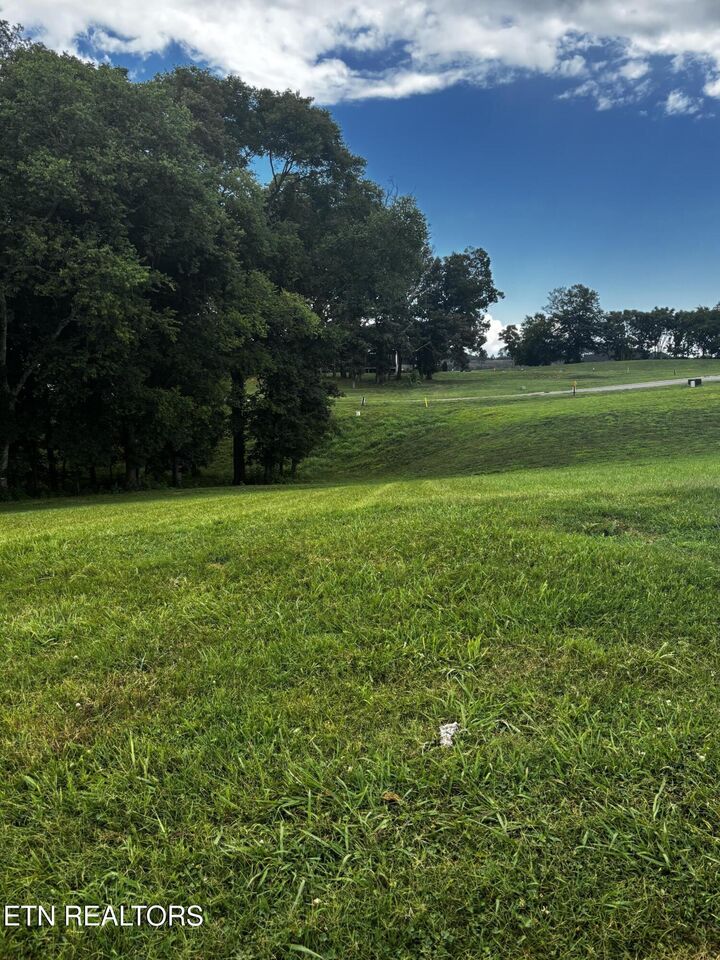 Property Photo: 3964 Persimmon Ridge TN 37774
