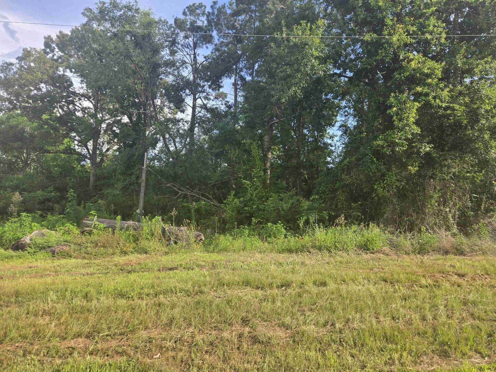 Property Photo: Tbd US Hwy 84 TX 75681