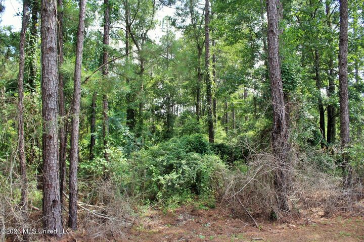 Property Photo: 3.9ac Little Bluff Drive MS 39565