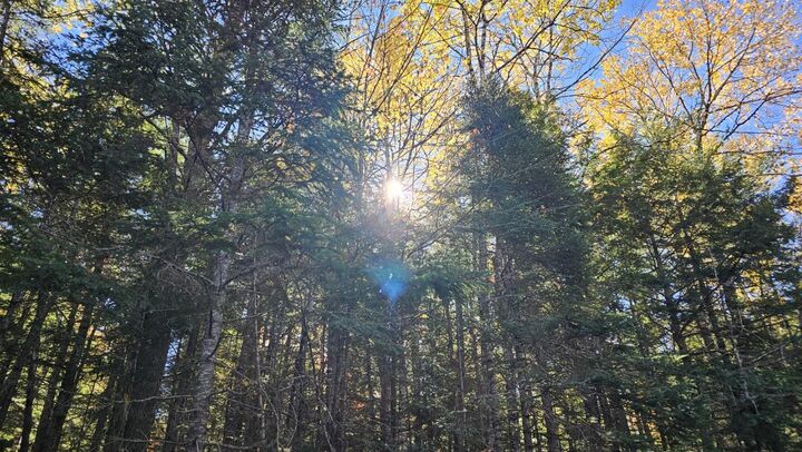 Property Photo: 01-Lot 26 County Road ME 04461