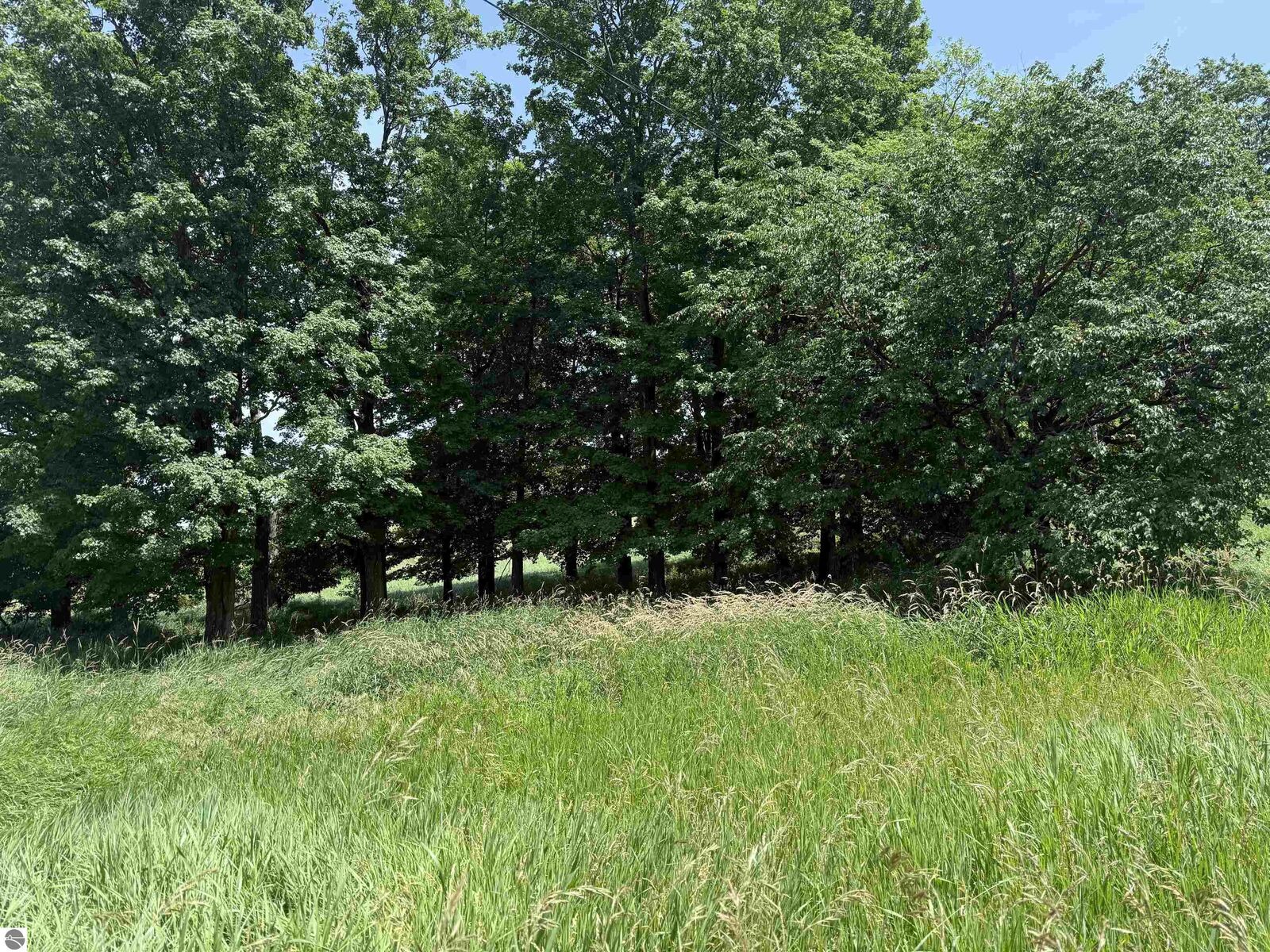 Property Photo:  Vl S Lachance Road  MI 49657 