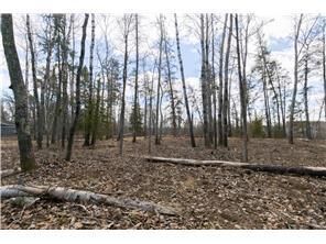 Property Photo:  Xxxx County 37  MN 56461 