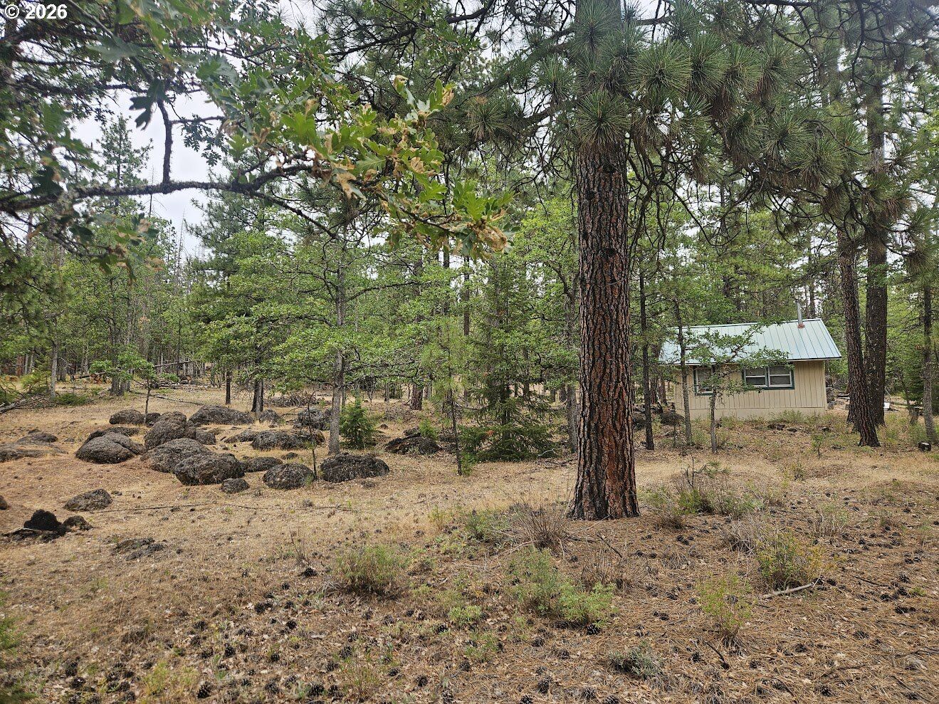 Property Photo:  127 Goldenpine  WA 98620 