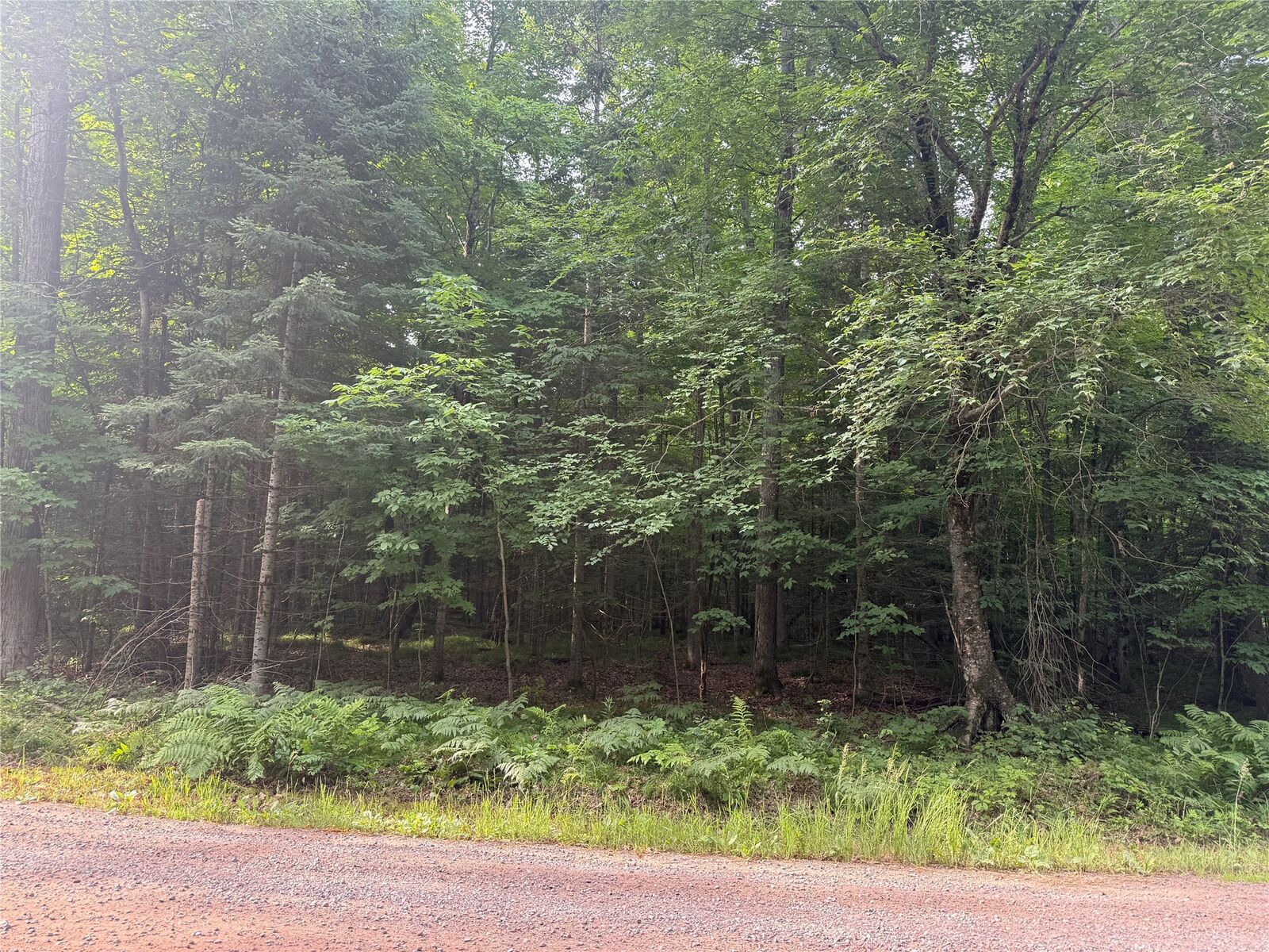 Property Photo:  Lot 5 Flambeau Point Road  WI 54848 
