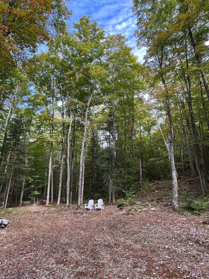 Property Photo: 4488 Kawagama Lake Road ON P0A 1E0