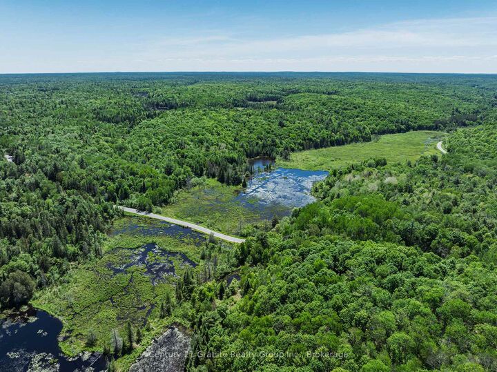 0 Brady Lake Road — photo 1