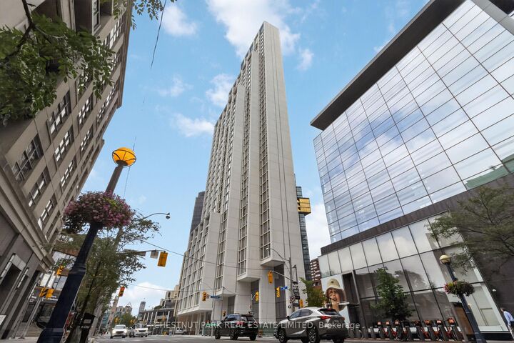 1315 Bay Street 504 — photo 1