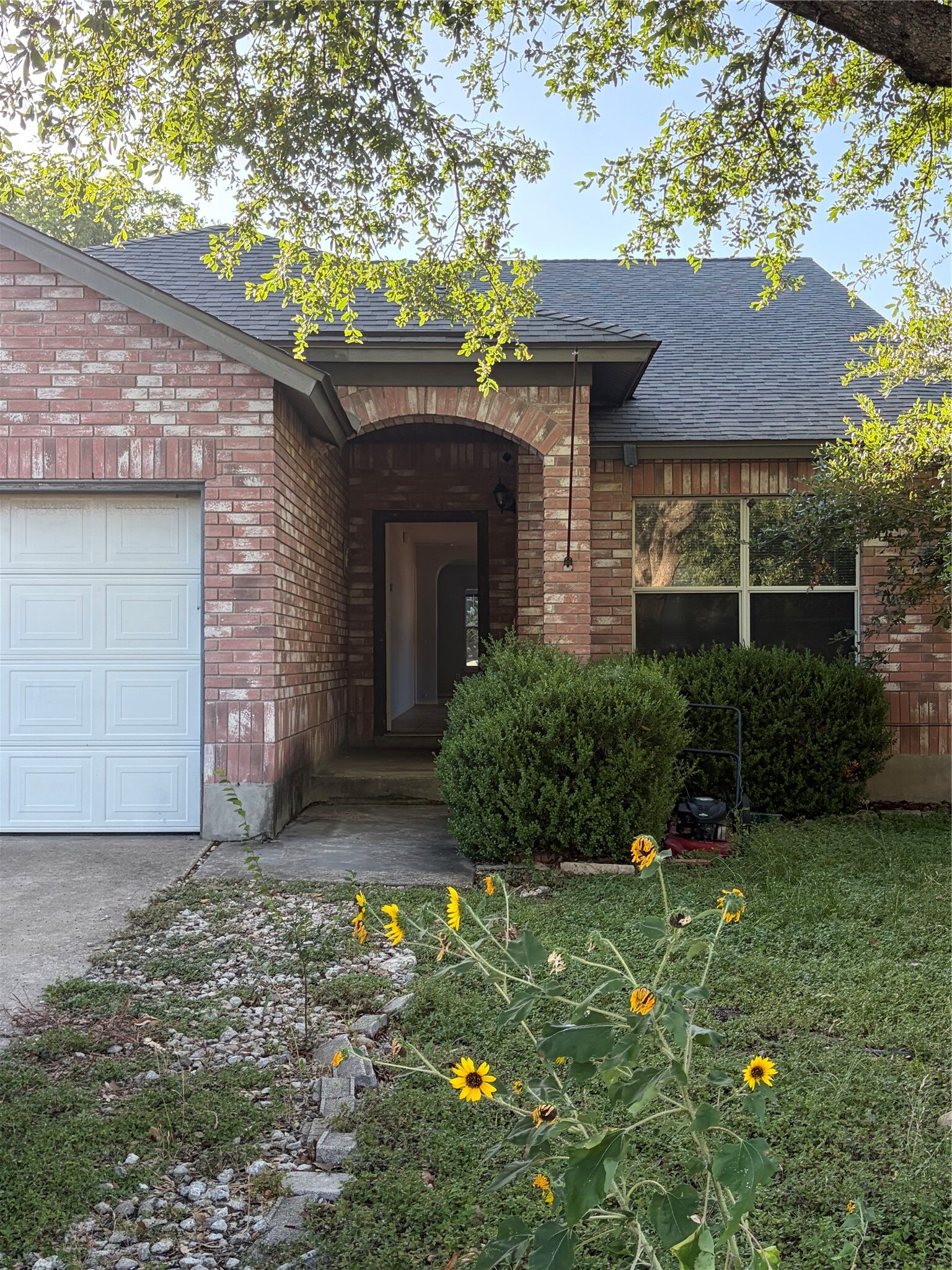 Property Photo:  3207 Settlement Drive  TX 78665 