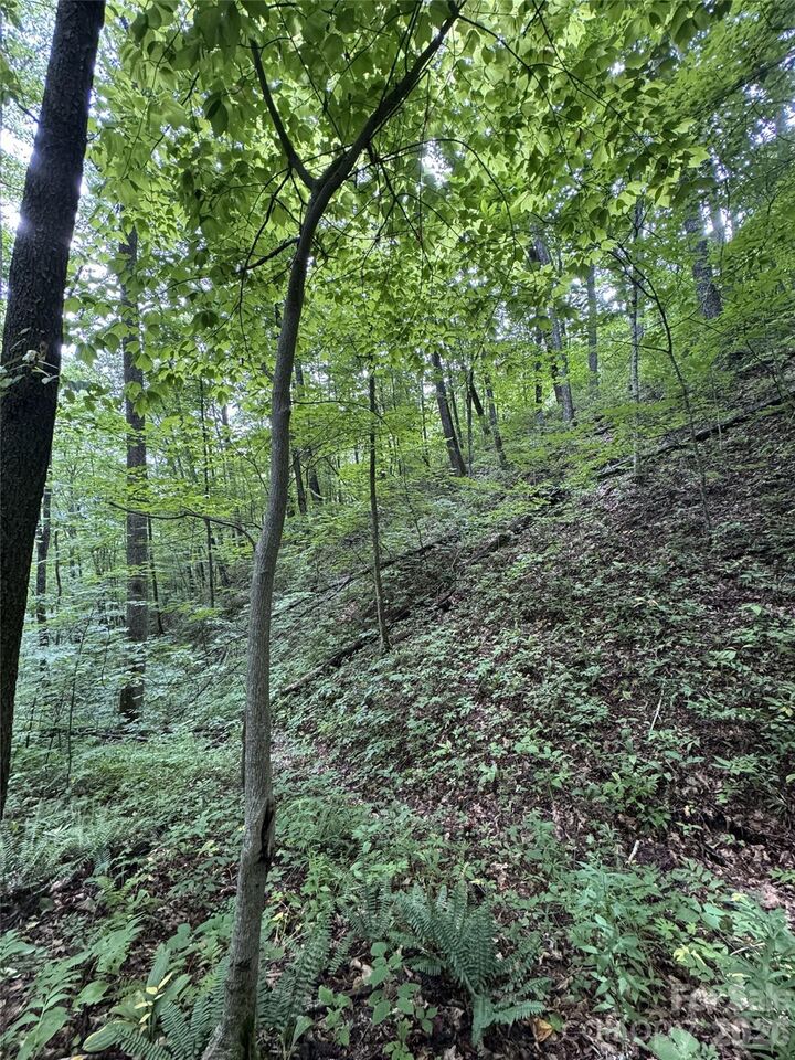 Property Photo: 1873 Unahala Creek Road NC 28713