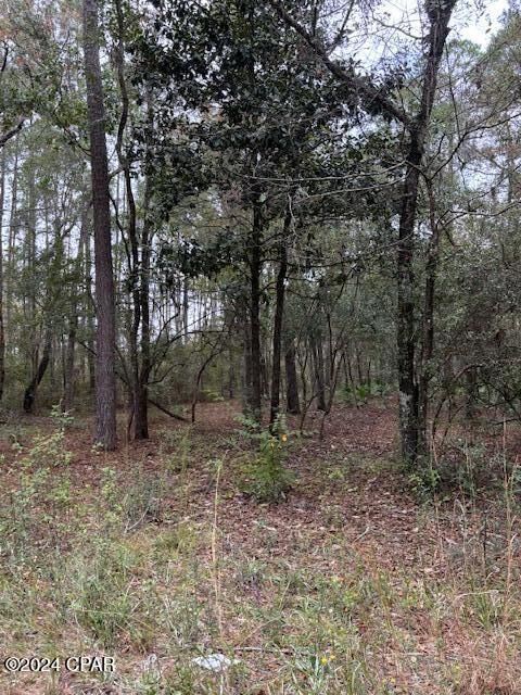 Property Photo: 0000 Everest Drive FL 32428