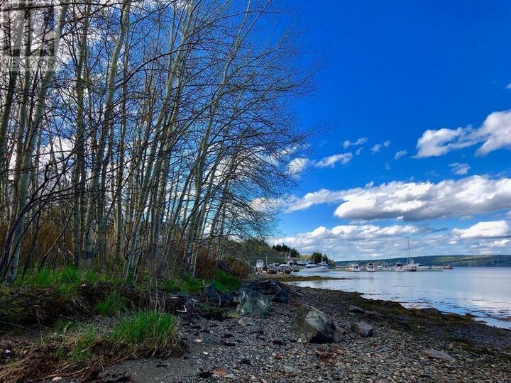 Property Photo:  3-4 Samuel Place  NL A5A 3A1 