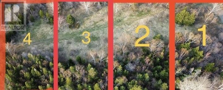 Property Photo:  4 Trail Avenue  NL A0G 3A0 