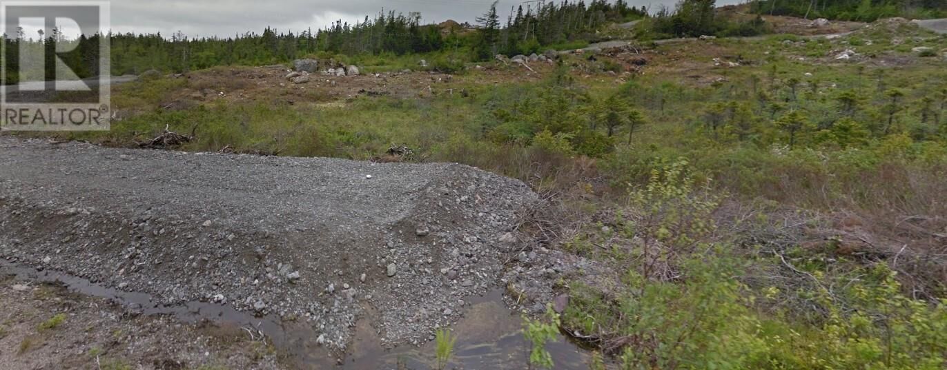 Property Photo:  62 Country Path Road  NL A0A 2R0 