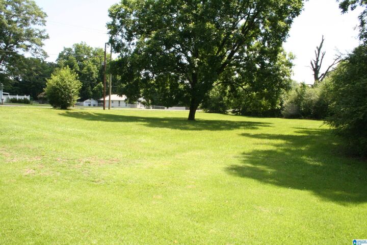 Property Photo:  6096 Warrior River Road 1  AL 35023 