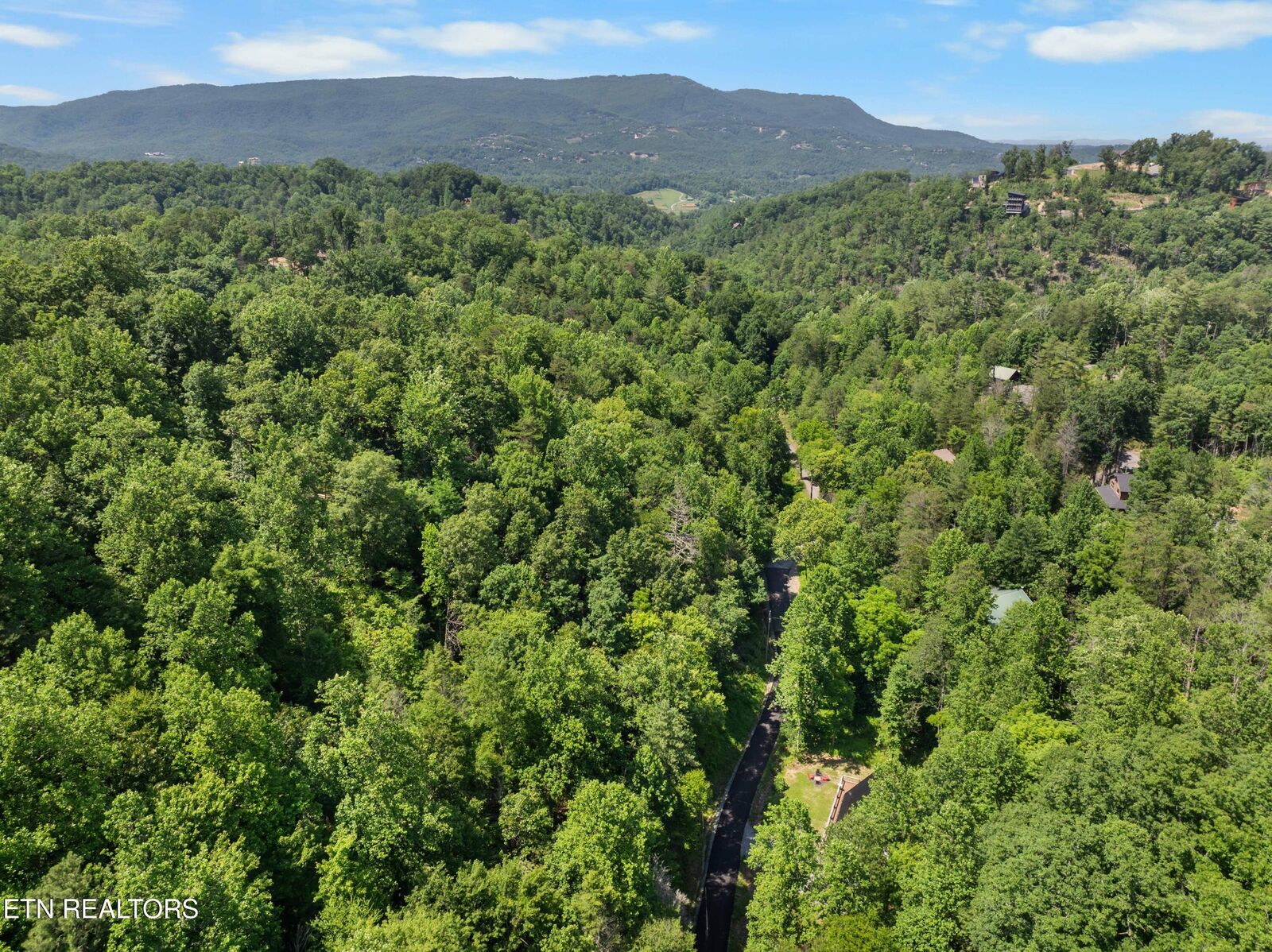 Property Photo:  Lot 0009 Willow Lane  TN 37862 