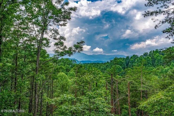 Property Photo:  712 Octagon Drive  TN 37738 