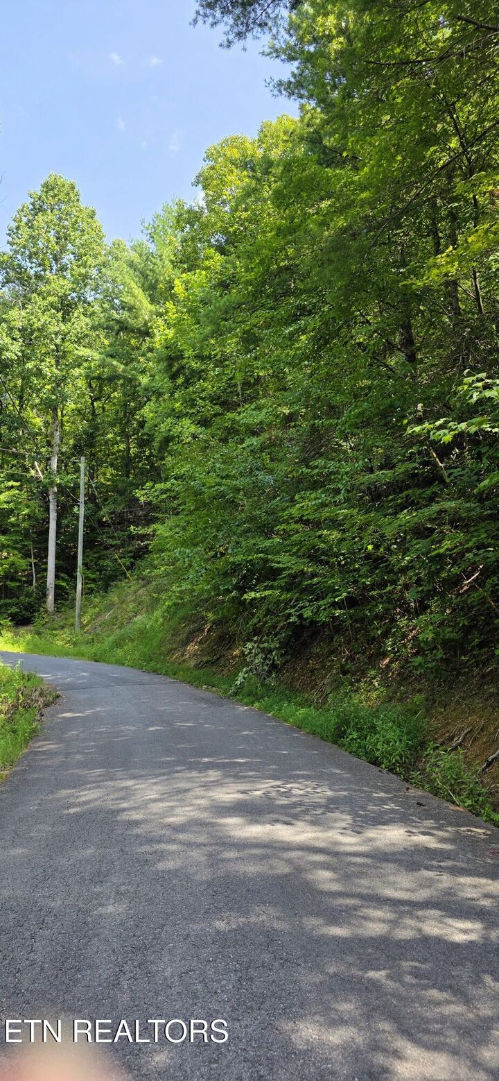 Property Photo:  Lot 0024 Sugar Maple Loop Rd  TN 37862 