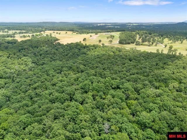Property Photo:  40 Ac Cr 625  AR 72653 