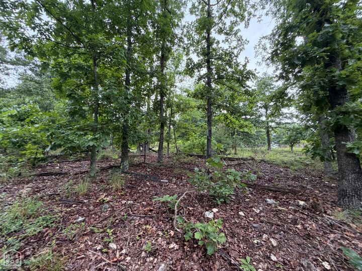 Property Photo:  1 Morgan Cave Road  AR 72601 