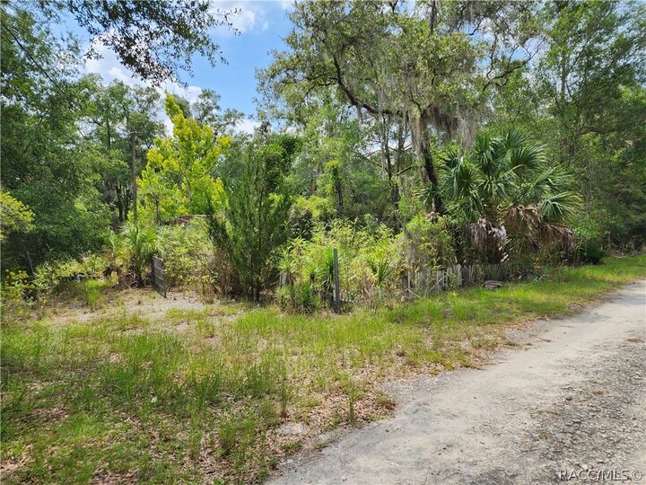Property Photo:  11335 N Ginny Lane Point  FL 34449 