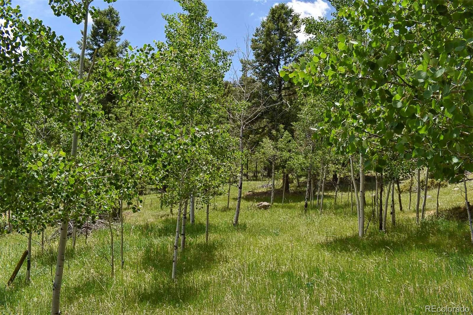 Property Photo:  281 Deer Lane  CO 80820 