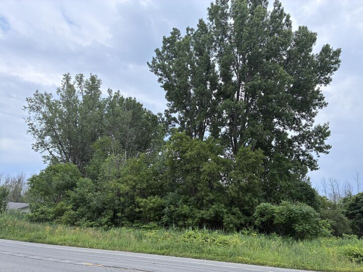Property Photo:  0 Route 11 Route  NY 12919 