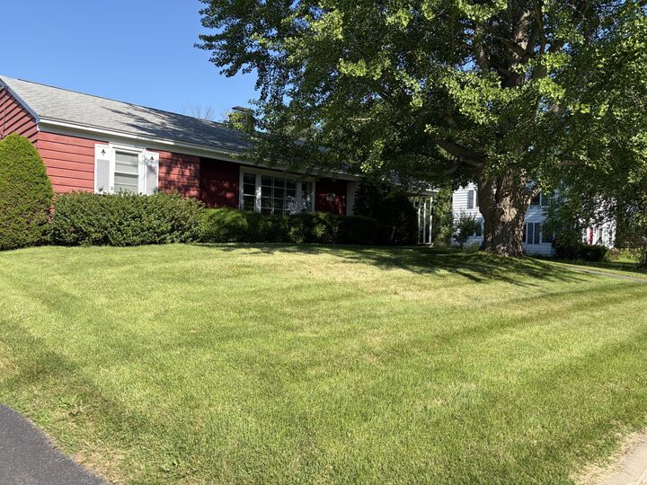 Property Photo:  33 Morrison Avenue  NY 12901 
