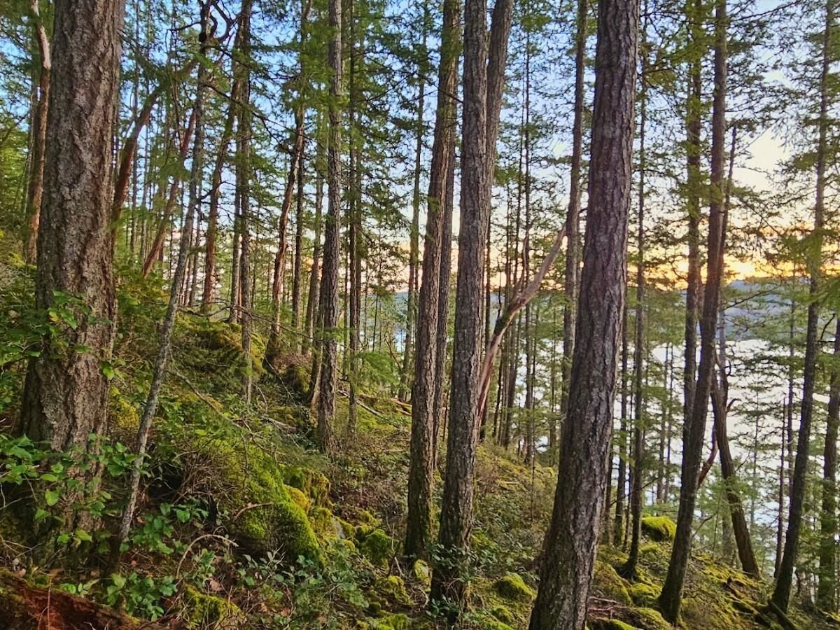 Property Photo:  Lot 108 Seaview Road  BC V0N 3A4 